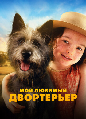 Мой любимый двортерьер